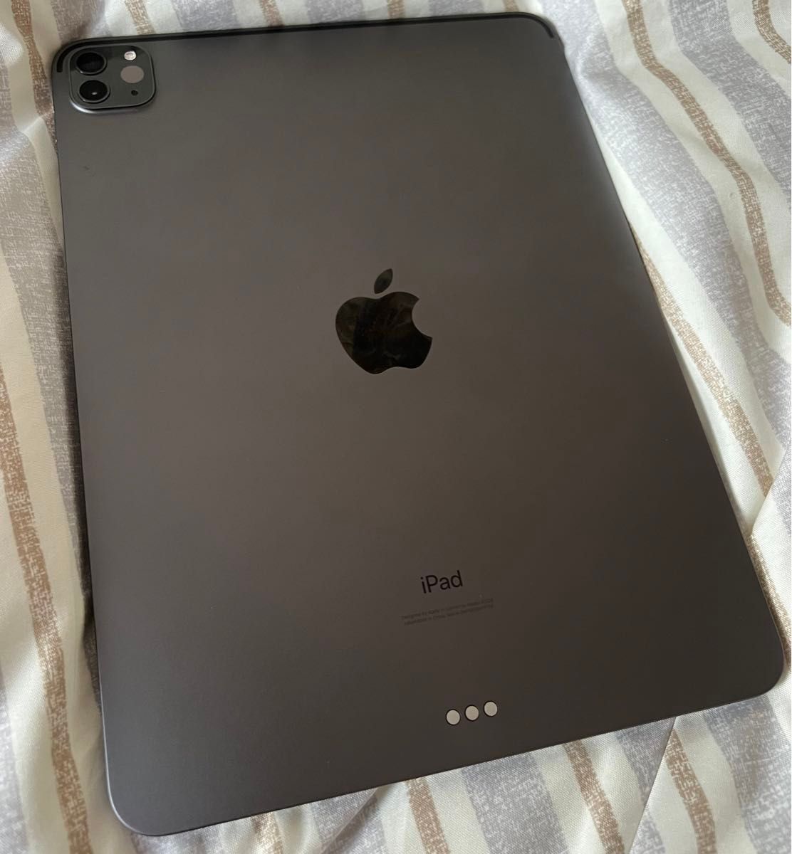 iPad Pro11インチ第2世代（iOS14.4.1）iPad  Pro Apple 