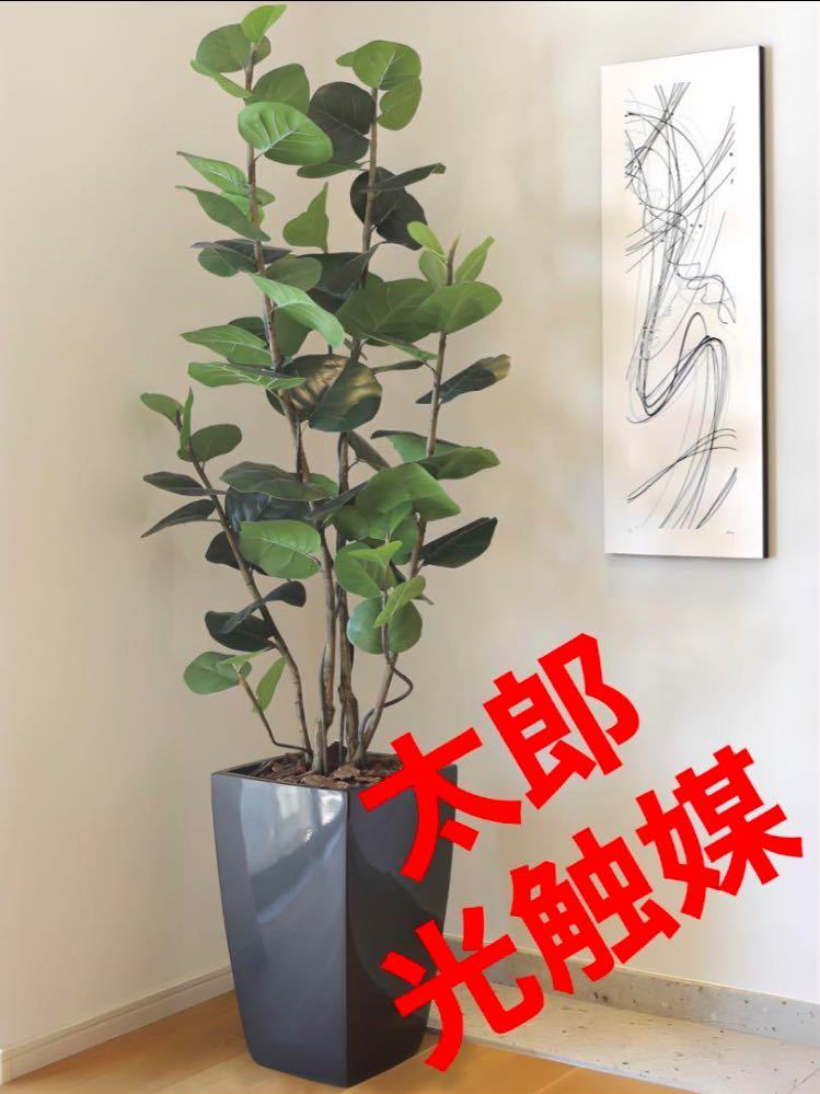 光の楽園 光触媒 人工観葉植物 ウォールグリーン フェイク 光の楽園 光触媒 人工観葉植物 ウォールグリーン フェイク