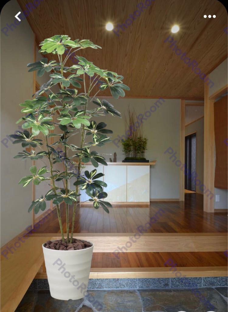 光の楽園 光触媒 人工観葉植物 ウォールグリーン フェイク 光の楽園 光触媒 人工観葉植物 ウォールグリーン フェイク