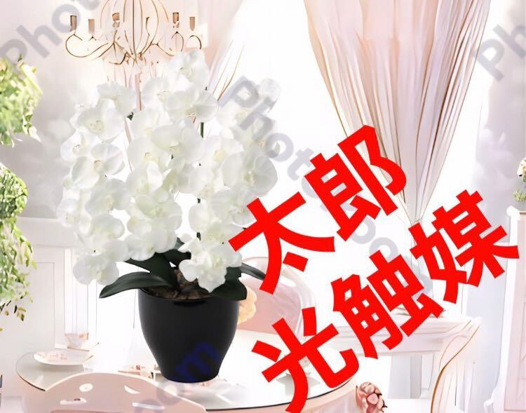 光の楽園 光触媒 人工観葉植物 ウォールグリーン フェイク 光の楽園 光触媒 人工観葉植物 ウォールグリーン フェイク