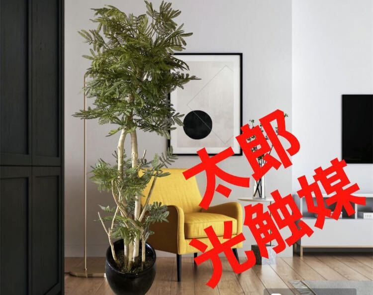 キャビネット フナモコ 幅90.0 奥行38.8 高さ95.6 固定金具付 キャビネット フナモコ 幅90.0 奥行38.8 高さ95.6 固定金具付
