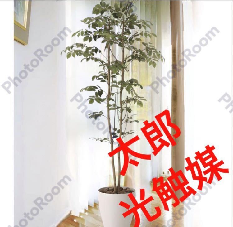 光の楽園 光触媒 人工観葉植物 ウォールグリーン フェイク 光の楽園 光触媒 人工観葉植物 ウォールグリーン フェイク