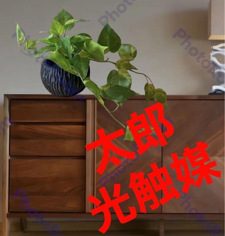 光触媒　人工観葉植物　ウォールグリーン　フェイクグリーン　ポトス花器付_画像1