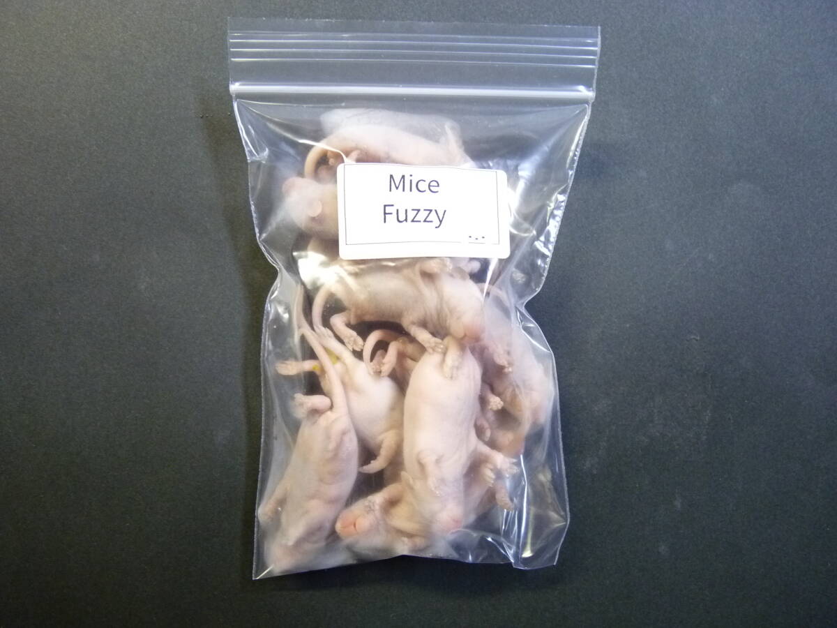  domestic production freezing mouse faji-20 pcs 