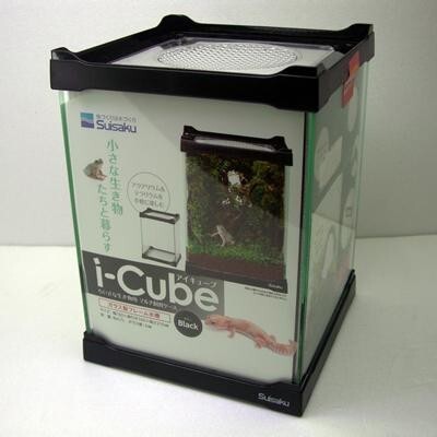 [ бесплатная доставка * Fuji темно синий ] стакан террариум collectors ( старый I Cube )