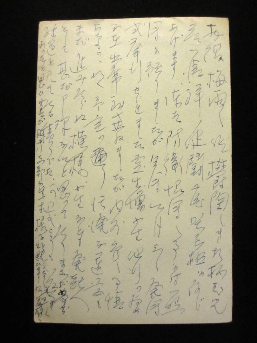 (4)　エンタイア　郷古潔　直筆手紙３通　葉書　東條英機内閣顧問　A級戦犯容疑で巣鴨プリズン入所　公職追放　岩手県盛岡　郷土史_画像5