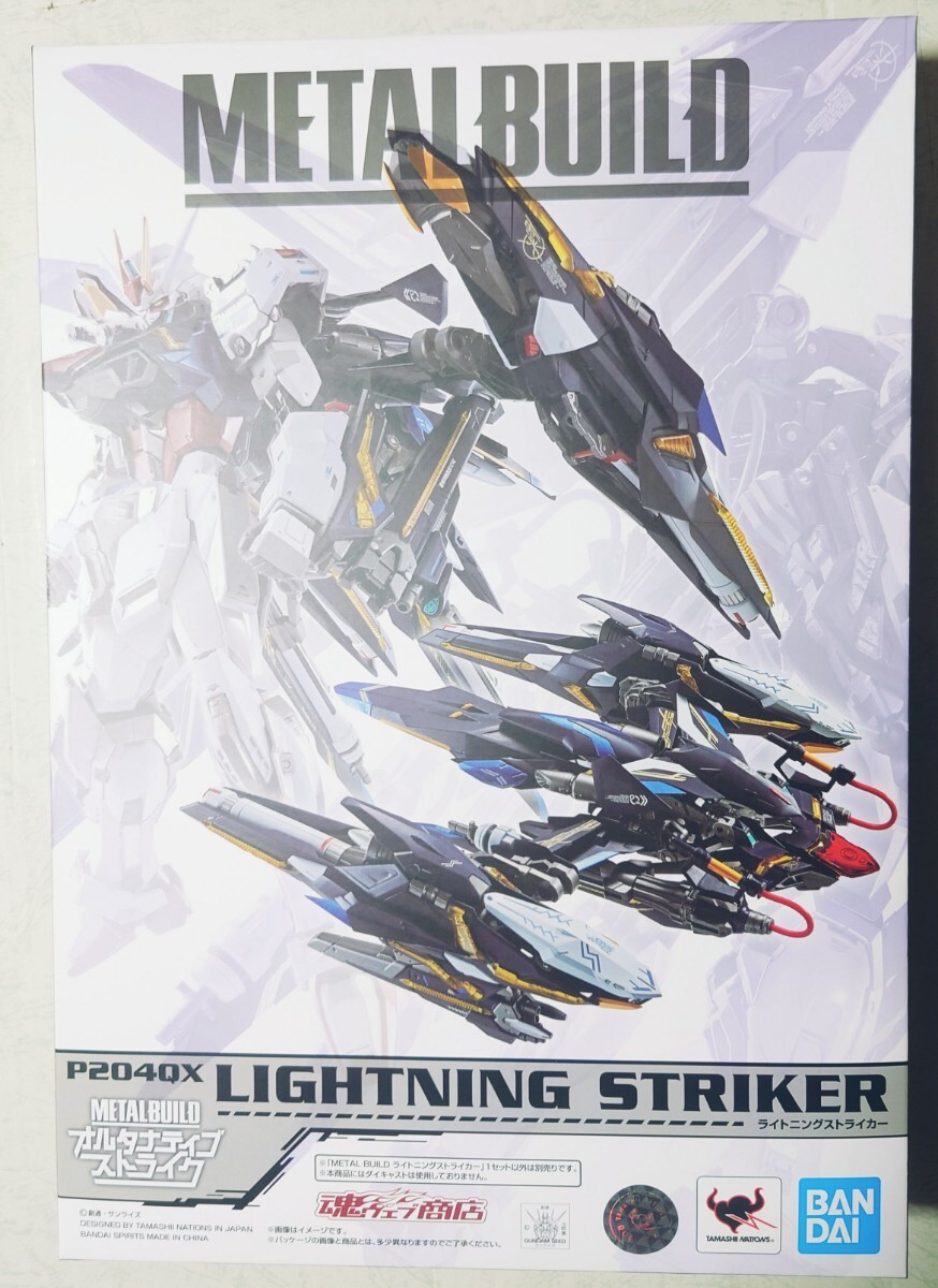 新品未開封 プレバン限定 METAL BUILD ライトニングストライカー 機動戦士ガンダムSEED　DESTINY　FREEDOM　キラ・ヤマト　シン・アスカ_画像9