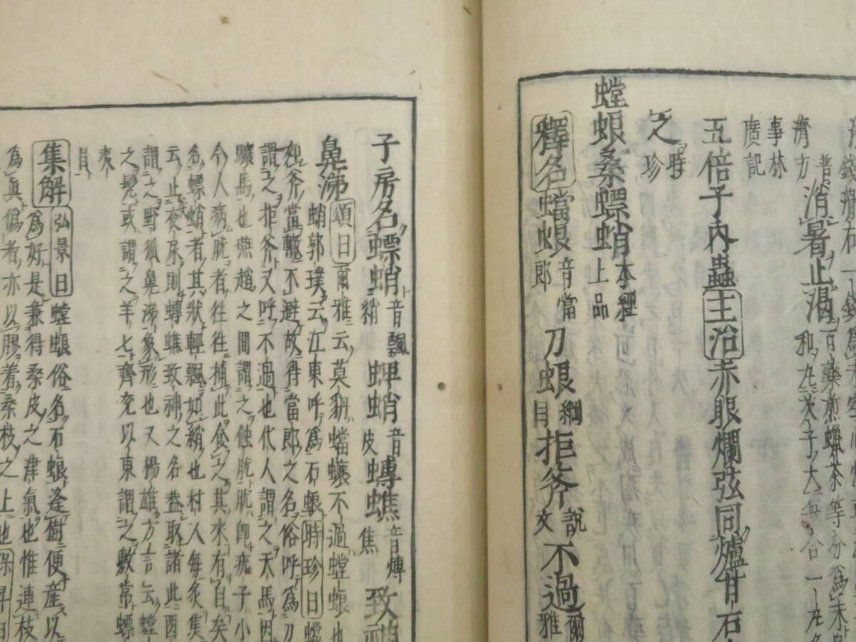 江戸期 和本『本草綱目◆6冊』医書 東洋医学 漢方 本草学 博物学 薬学　　　　　検)写本古文書植物鍼灸唐本漢籍古書古地図武家文書大名書状_画像7