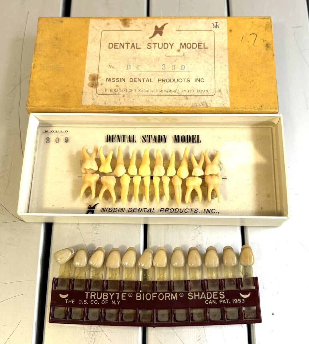 rrkk2808 CADCAM レジン歯 歯冠材 レジンジャケット冠 DENTAL STUDY MODEL まとめ 歯科技工材 教材 の画像6