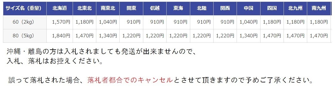 T【Y3-55】【60サイズ】◇ヴィヴィアンウエストウッド/エナメルボタン スリム ガスライター/ケース付/着火未確認・擦れ傷・外箱シミ有の画像9