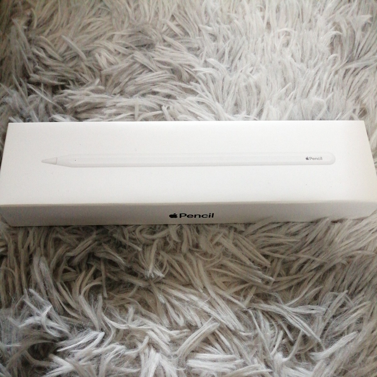 【箱とステッカーのみ】iPad Pro12.9インチ 256GB Wi-Fiモデル＋Apple Pencil第2世代 外箱セットの画像4