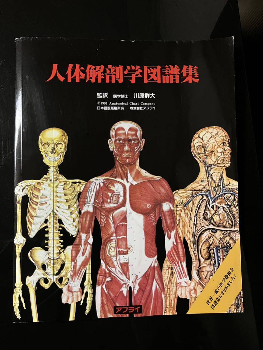 【即決・送料込み】人体解剖学図譜集 アプライの画像1
