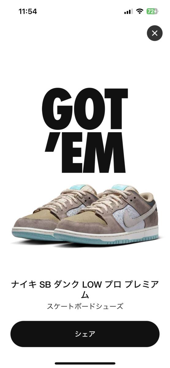 Nike SB Dunk Low Pro Big Money Savingsナイキ SB ダンク 28cm サイズ10 SNKRS購入 新品未使用の画像6