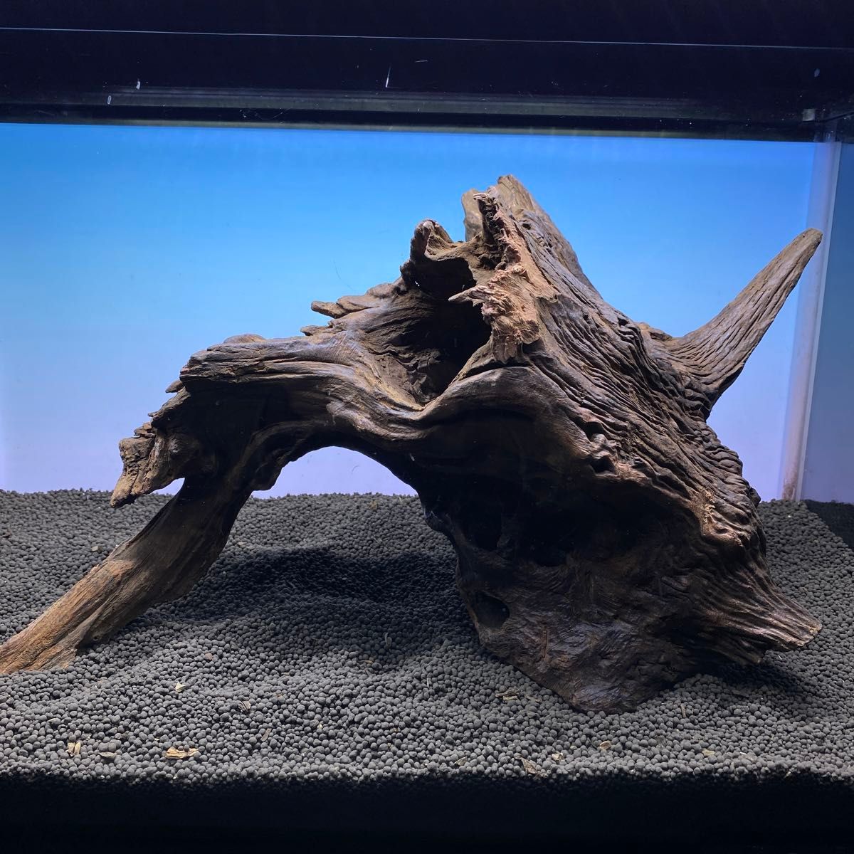 MRW-5265赤系天然流木 アーチ流木 1点物 流木 アクアリウム MRW-5265赤系天然流木 アーチ流木 1点物 流木 アクアリウム