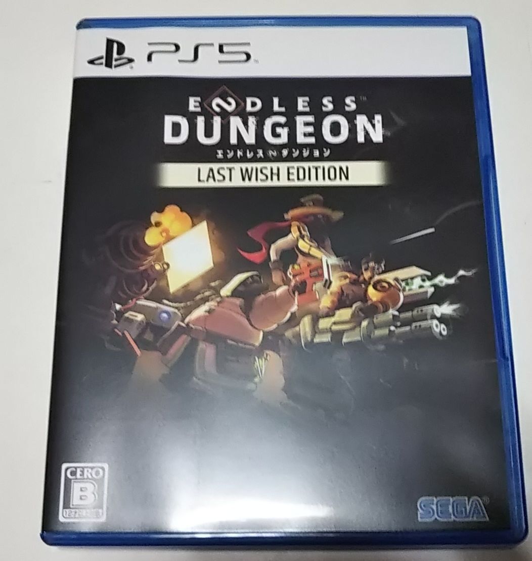 PS5●ENDLESS DUNGEON エンドレス ダンジョン_画像1