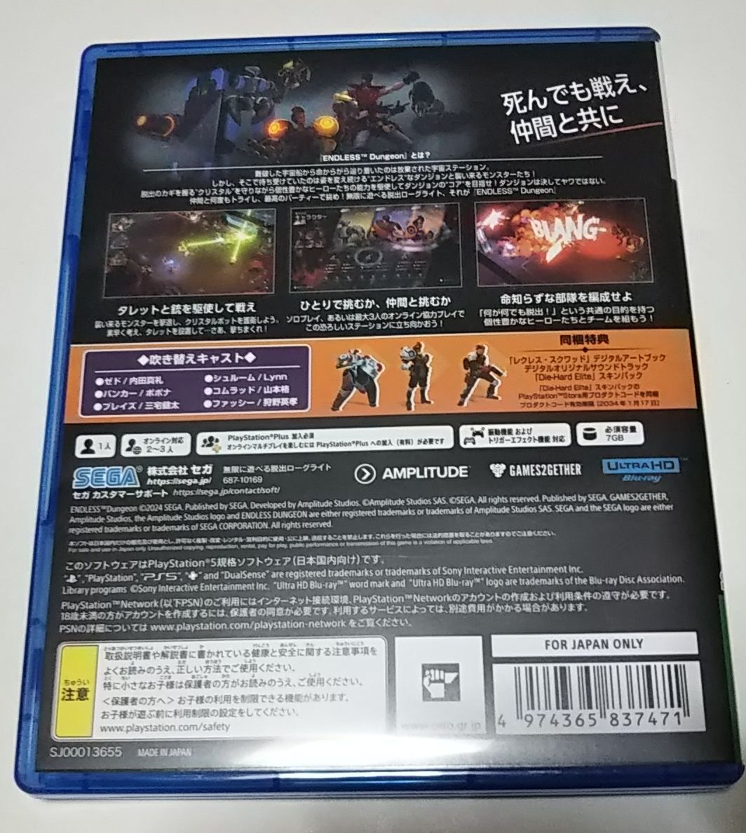 PS5●ENDLESS DUNGEON エンドレス ダンジョン_画像2