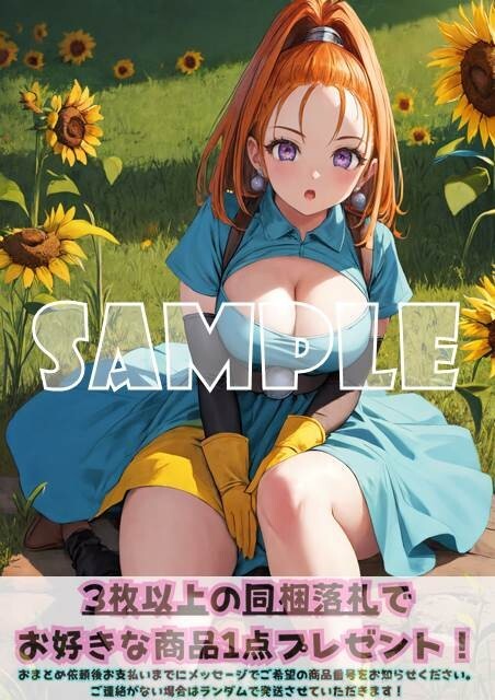 Z1603 バーバラ ドラゴンクエストⅥ ドラクエ DQ6 A4 同人 イラスト 巨乳 美少女 コスプレ Anime アニメ ポスター セクシーアート acg._画像1