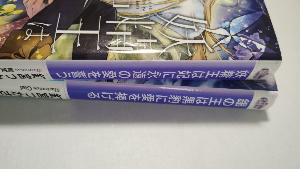 おまとめ★銀の王は黒豹に愛を捧げる＆妖精王は妃に永遠の愛を誓う 釘宮つかさ／著ほか4冊セット