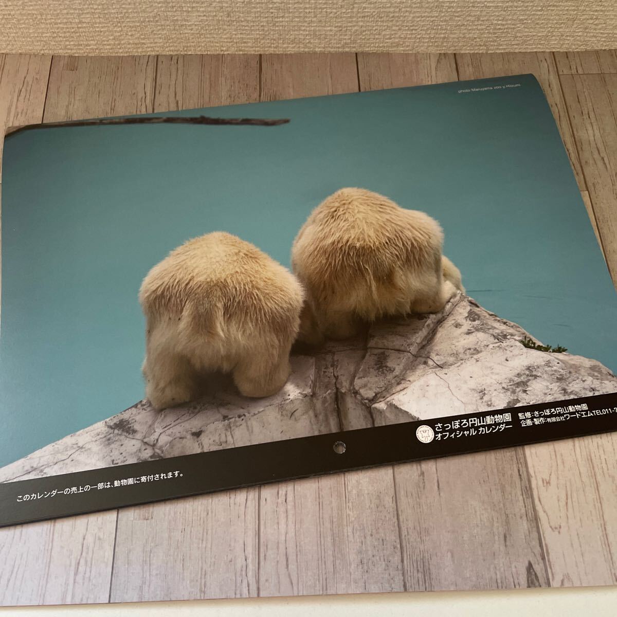 カレンダー 旭山動物園　北極グマ　イコロ_画像7