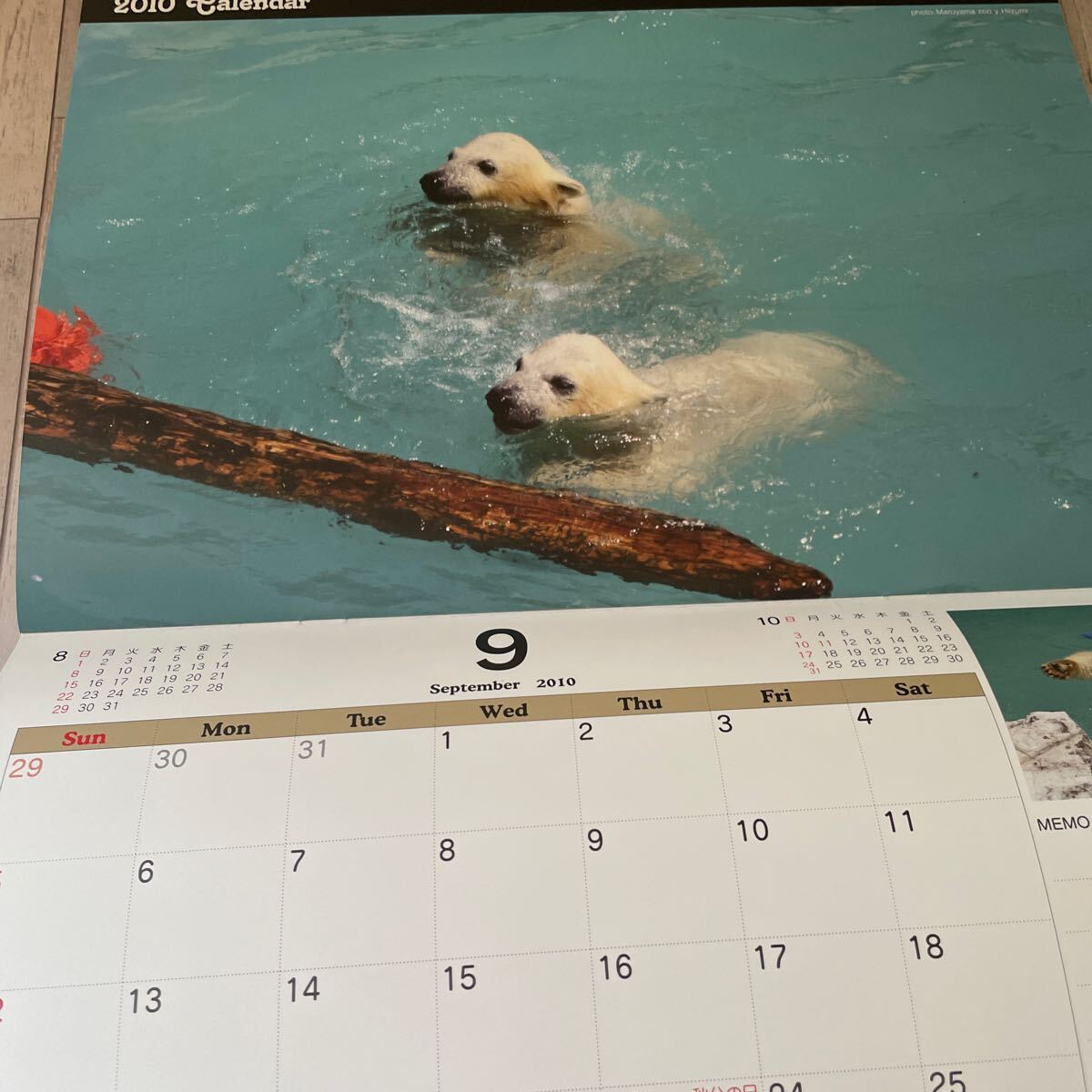 カレンダー 旭山動物園　北極グマ　イコロ_画像5