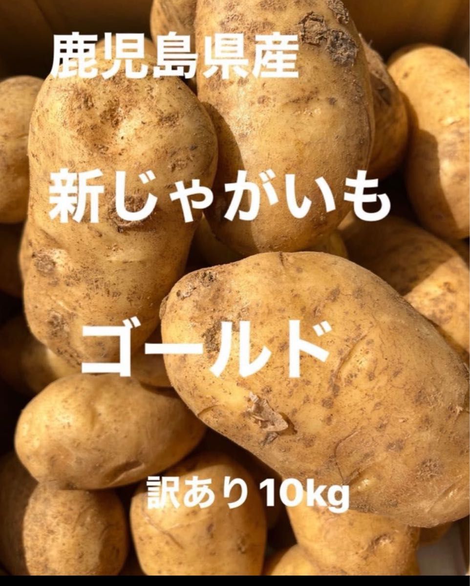 鹿児島県産新じゃが！訳あり10kg