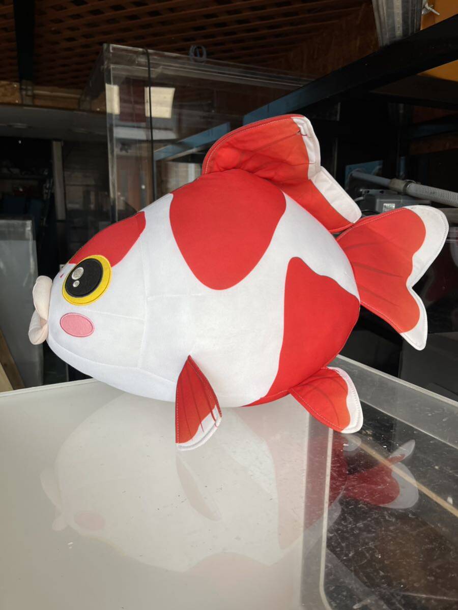Yahoo!オークション - キョーリンぬいぐるみ金魚 非売品 Yahoo!オークション - キョーリンぬいぐるみ金魚 非売品