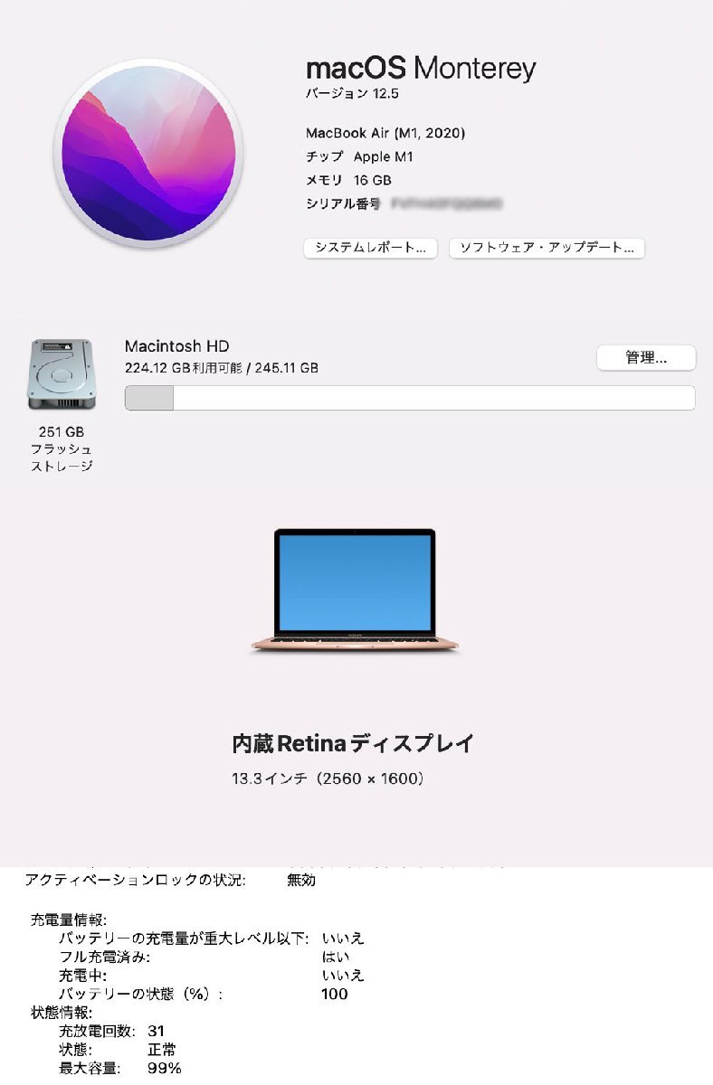 1円スタート MacBook Air M1 13 2020 A2337 7コアGPU 8コアGPU 16GB 256GB OS Monterey ゴールド 中古品 2-3の画像8