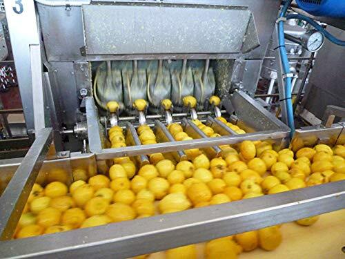 bioka have machine lemon strut ..100% 700ml