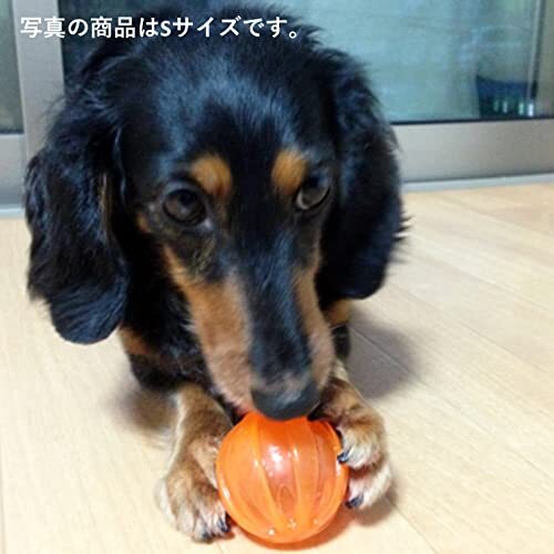 JW Pet(JWペット) 犬用おもちゃ メローボールMサイズ グリーン_画像5