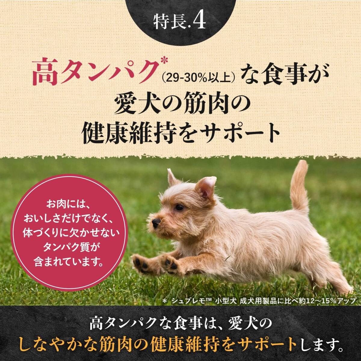 チキン 500g Nutro ニュートロ シュプレモ ドッグフード 超小型犬~小型犬用 成犬用 プレミアムブレンド チキン 500_画像5