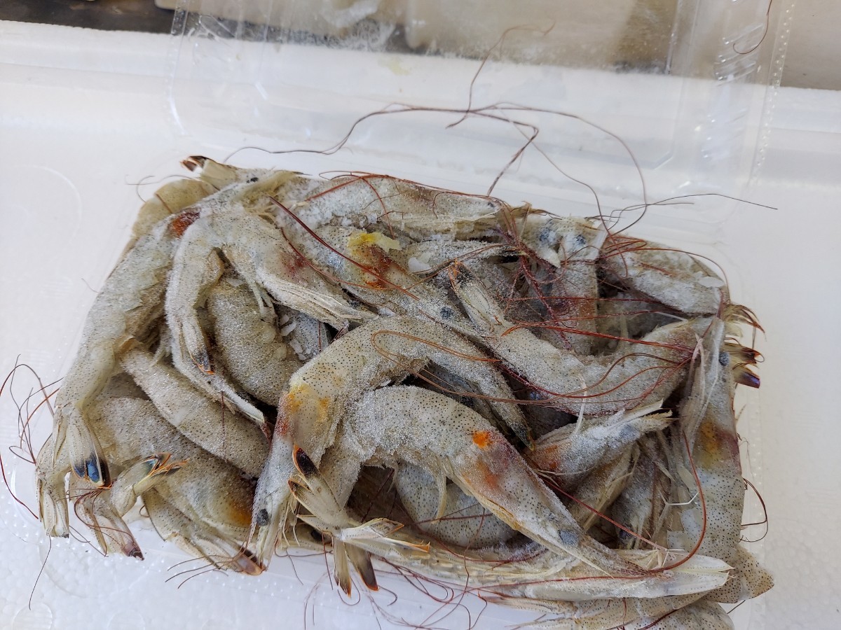  small small shrimp 3 kind 250g set 798 jpy prompt decision 