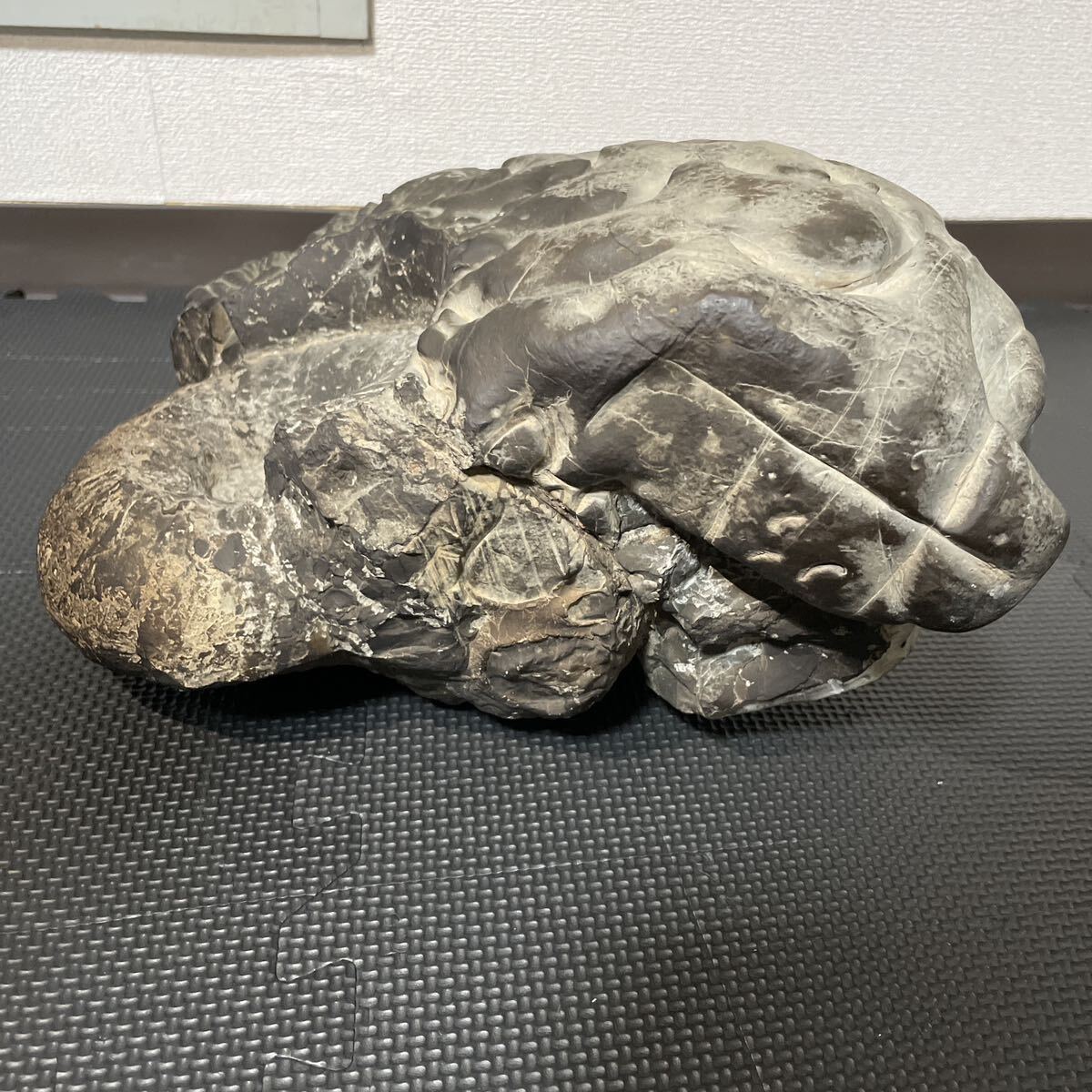 アンモナイト 天然石 鑑賞石 特大 化石 約15kg 約300×230 コレクション IH10231hの画像3
