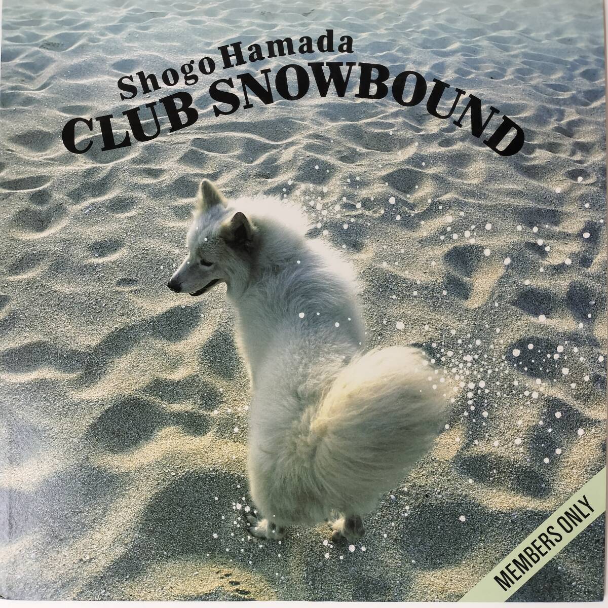 47345【プロモ盤】 浜田省吾 / SNOWBOUND _画像1