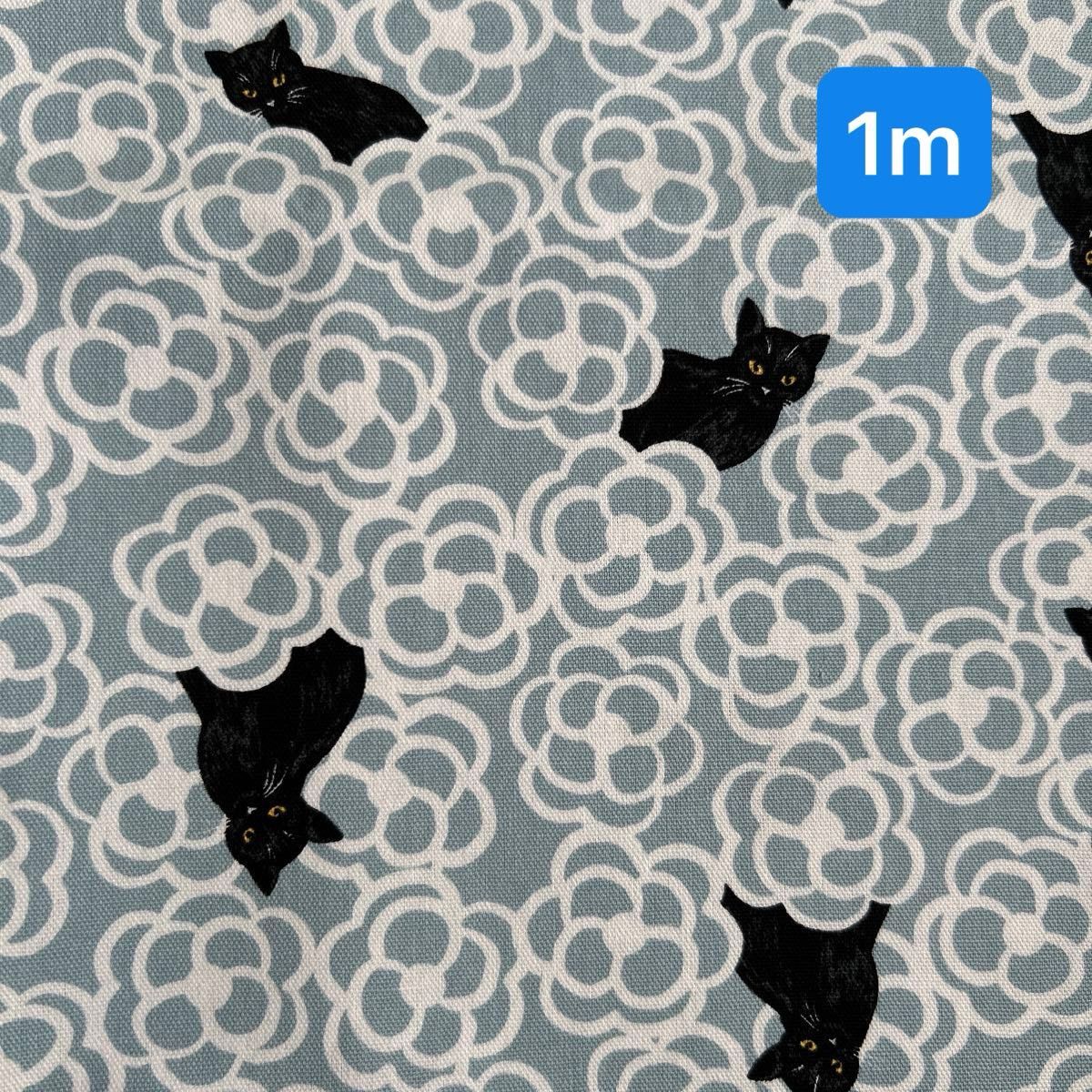 黒猫　猫柄　カメリア　椿　オックス　ブルー地　1m