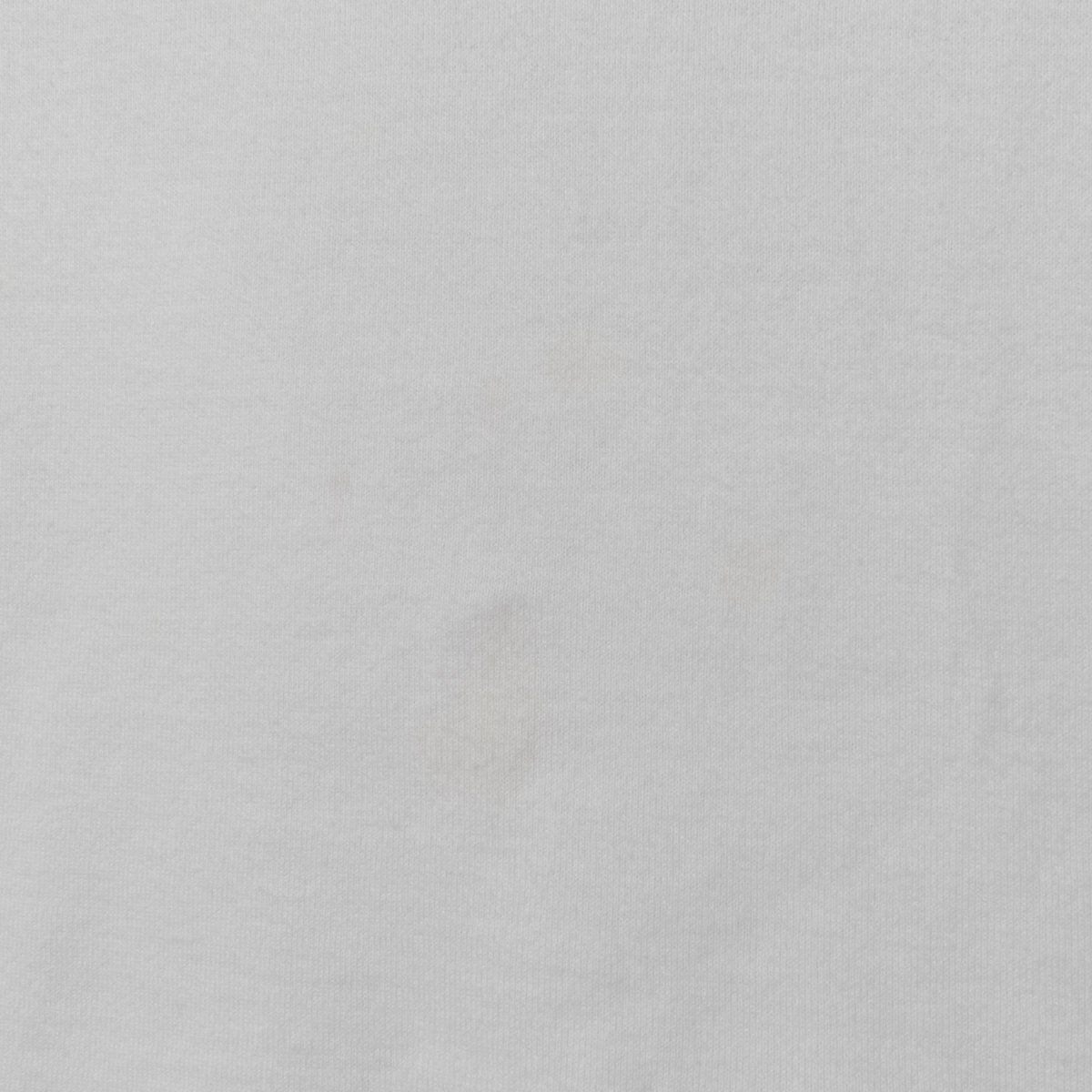 メール便◯ LACOSTE ラコステ EXCLUSIVE EDITION ワニロゴグラフィックプリントTシャツ 半袖 ホワイト 白 36 レディース コットン シンプルの画像8