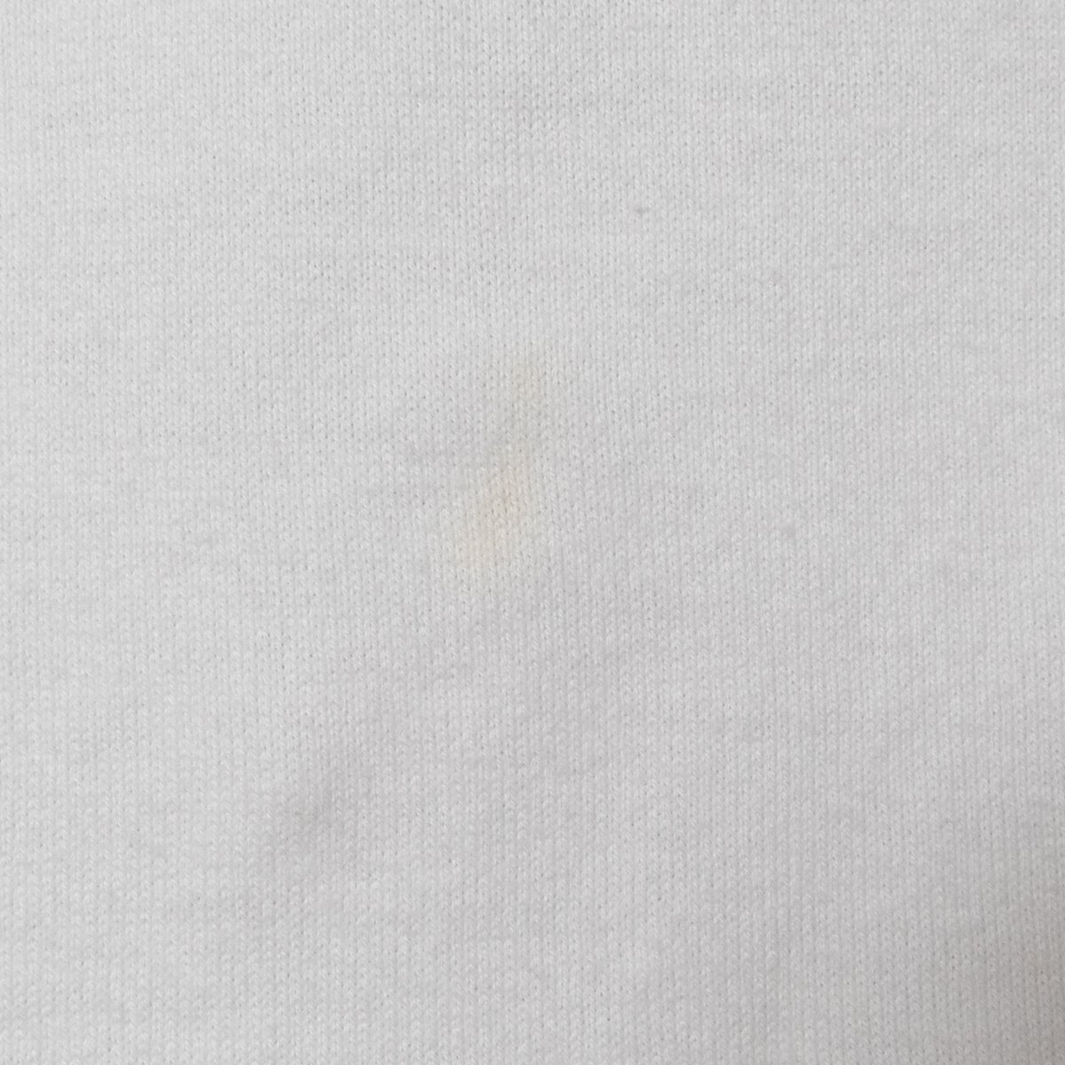 メール便◯ LACOSTE ラコステ EXCLUSIVE EDITION ワニロゴグラフィックプリントTシャツ 半袖 ホワイト 白 36 レディース コットン シンプルの画像9