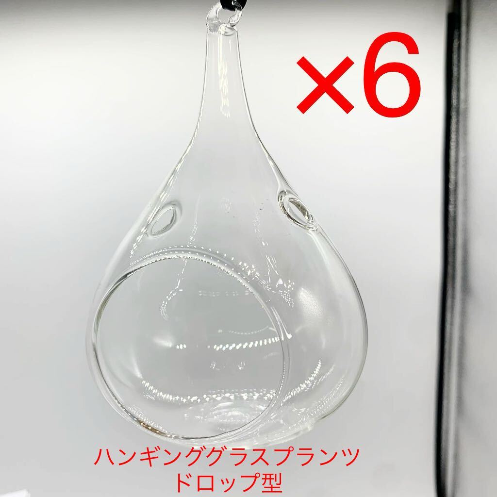 ★B974★ 6点セット ハンギンググラスプランツ ドロップ型 ガラス製 高さ13cmの画像1