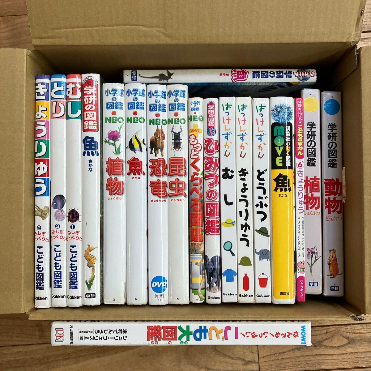 大SET-ш258/ 図鑑セット 不揃い19冊まとめ 小学館の図鑑NEO 学研の図鑑 講談社の動く図鑑MOVE はっけんずかん くらべる図鑑 昆虫 魚 他_画像1