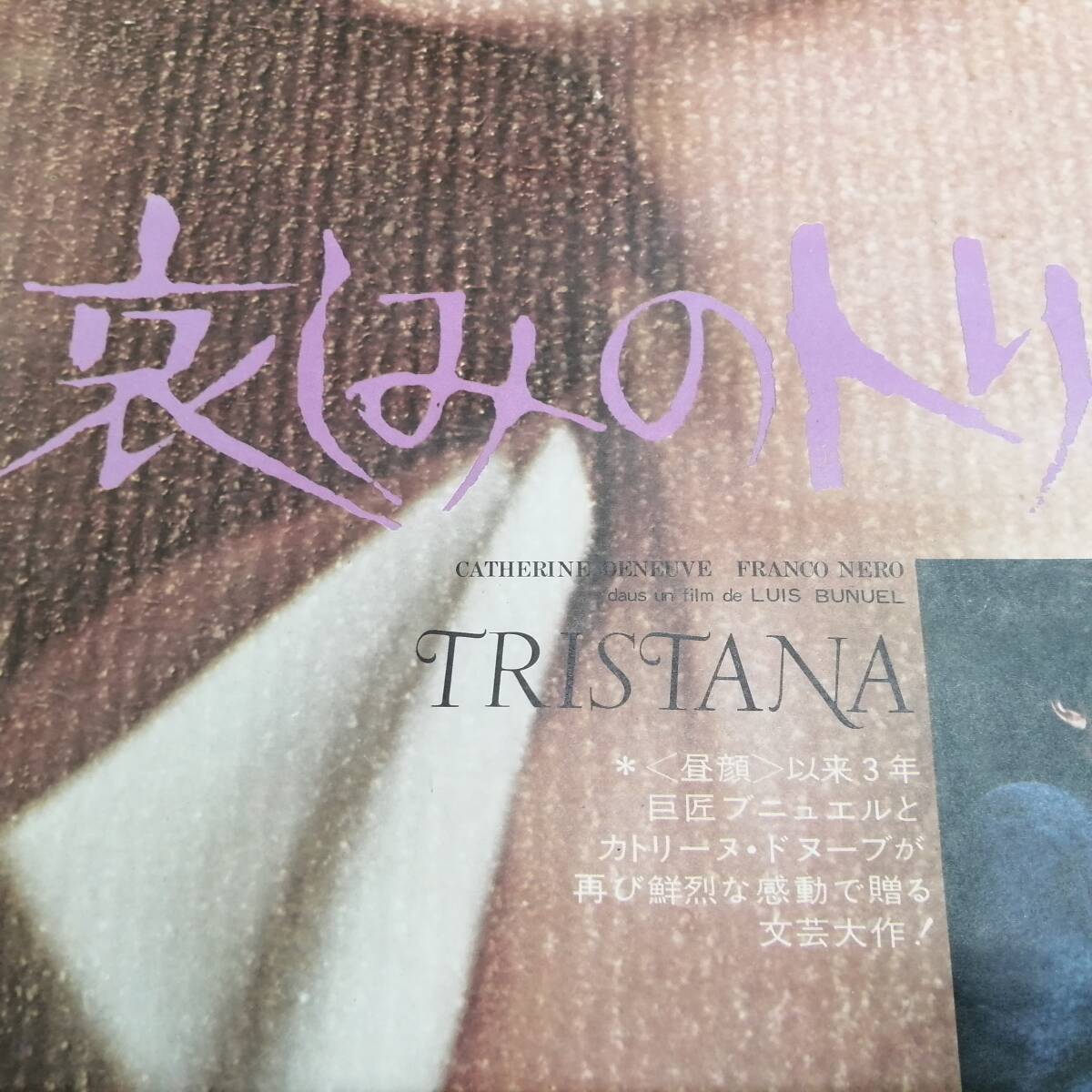 レ24032723 古い映画のポスター 「哀しみのトリスターナ / Tristana」 カトリーヌ・ドヌーヴ フランコ・ネロ 1970年 定形外発送の画像5