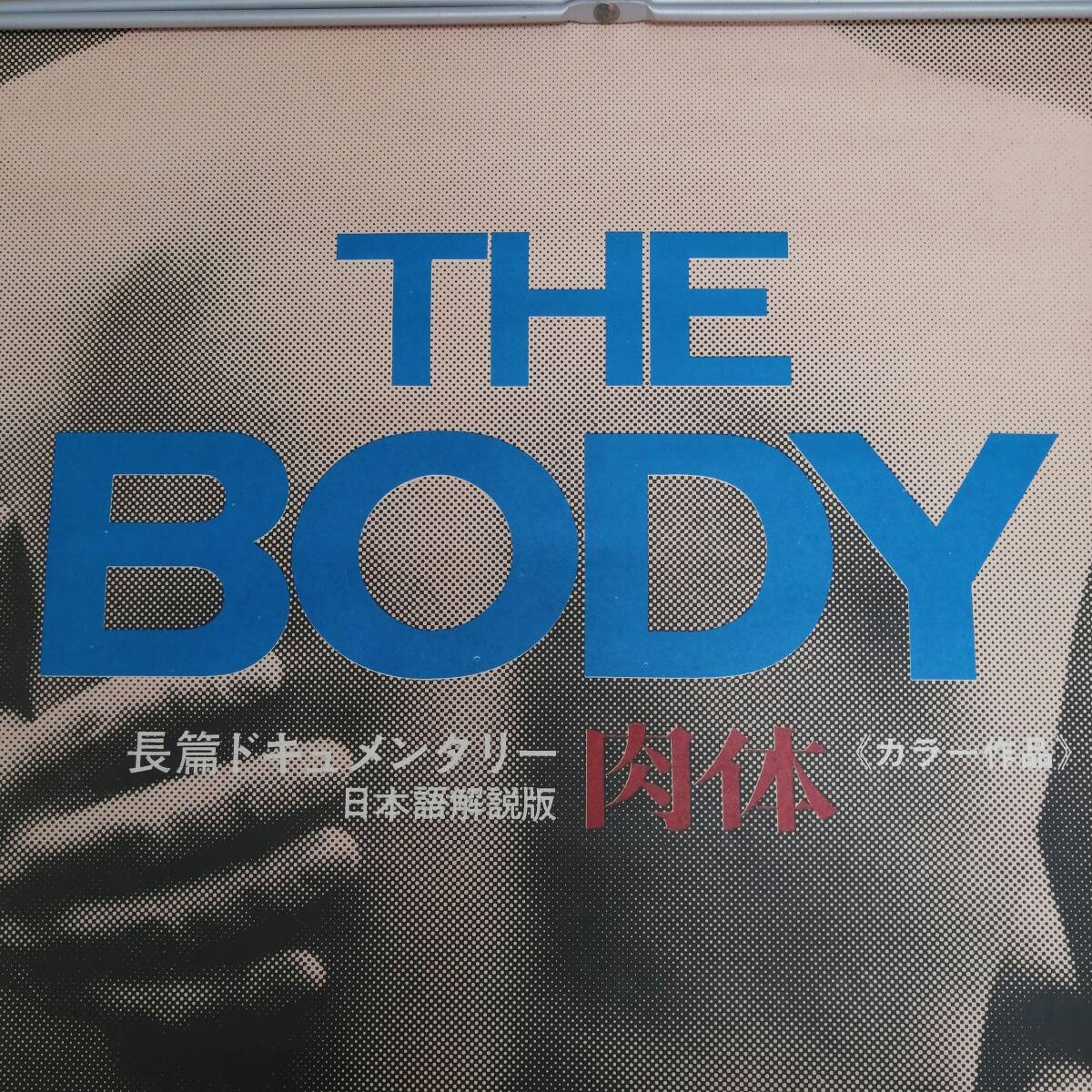 レ24032743　古い映画のポスター　「THE BODY 肉体」　監督ロイ・バッターズビー　1971年　定形外発送_画像2