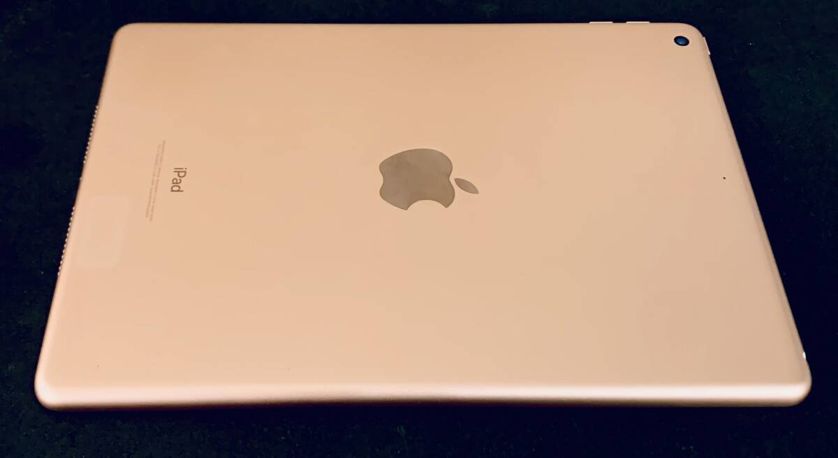 iPad PRO 本体 ipad apple タブレット アイパッド ゴールド iPad PRO 本体 ipad apple タブレット アイパッド ゴールド