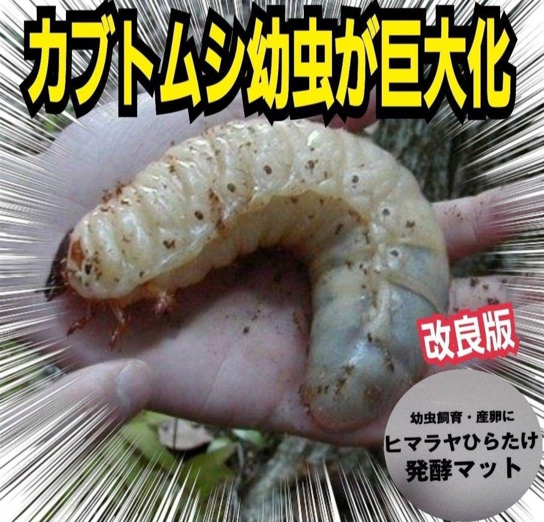 カブトムシ幼虫の餌☆栄養価抜群！改良版！ヒマラヤひらたけ発酵マット【2袋】国産カブトムシ87ミリ羽化実績！便利なチャック付き袋入り