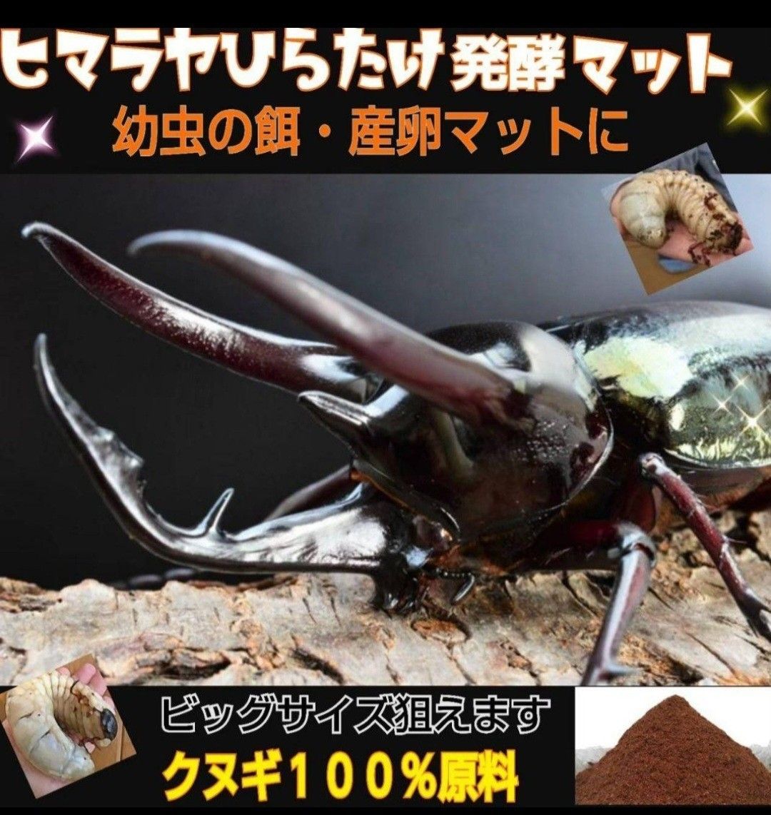 カブトムシ幼虫の餌☆栄養価抜群！改良版！ヒマラヤひらたけ発酵マット【2袋】国産カブトムシ87ミリ羽化実績！便利なチャック付き袋入り