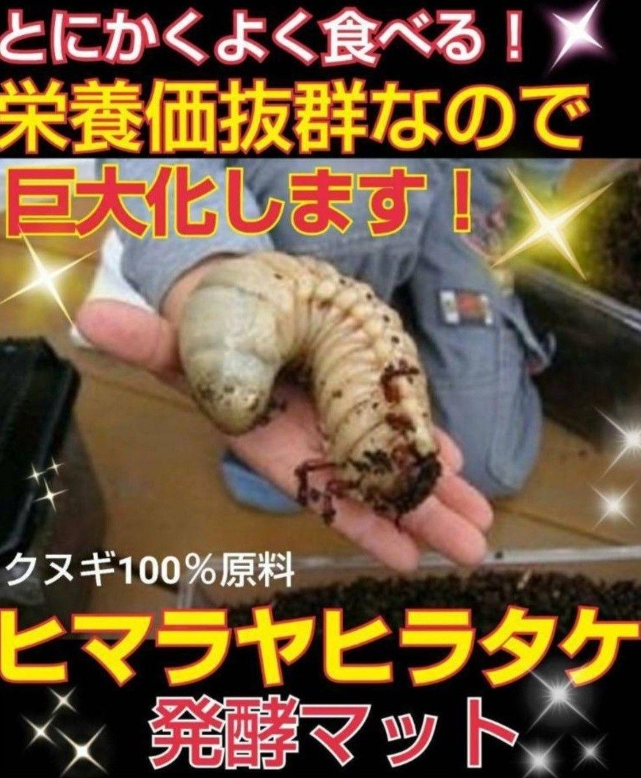 カブトムシ幼虫の餌☆栄養価抜群！改良版！ヒマラヤひらたけ発酵マット【3袋】国産カブトムシ87ミリ羽化実績！便利なチャック付き袋入り