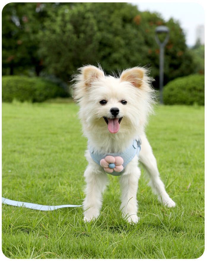 ペット用ハーネス リード付き犬 猫 小花飾り付き 可愛い 軽い 着脱簡単 洋服感覚 Mサイズの画像9