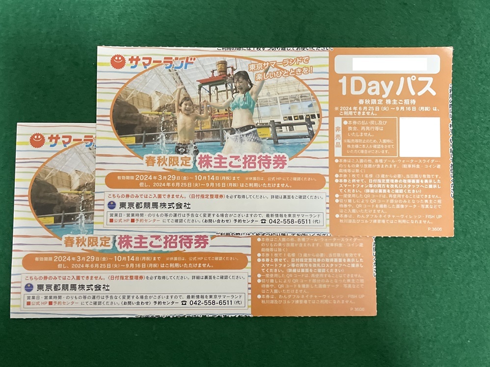Токио Саммерленд GW можно использовать 2 человека Пригласительный билет Однодневный проездной Бесплатный пропуск на 1 ДЕНЬ Неограниченная поездка * Анонимная доставка