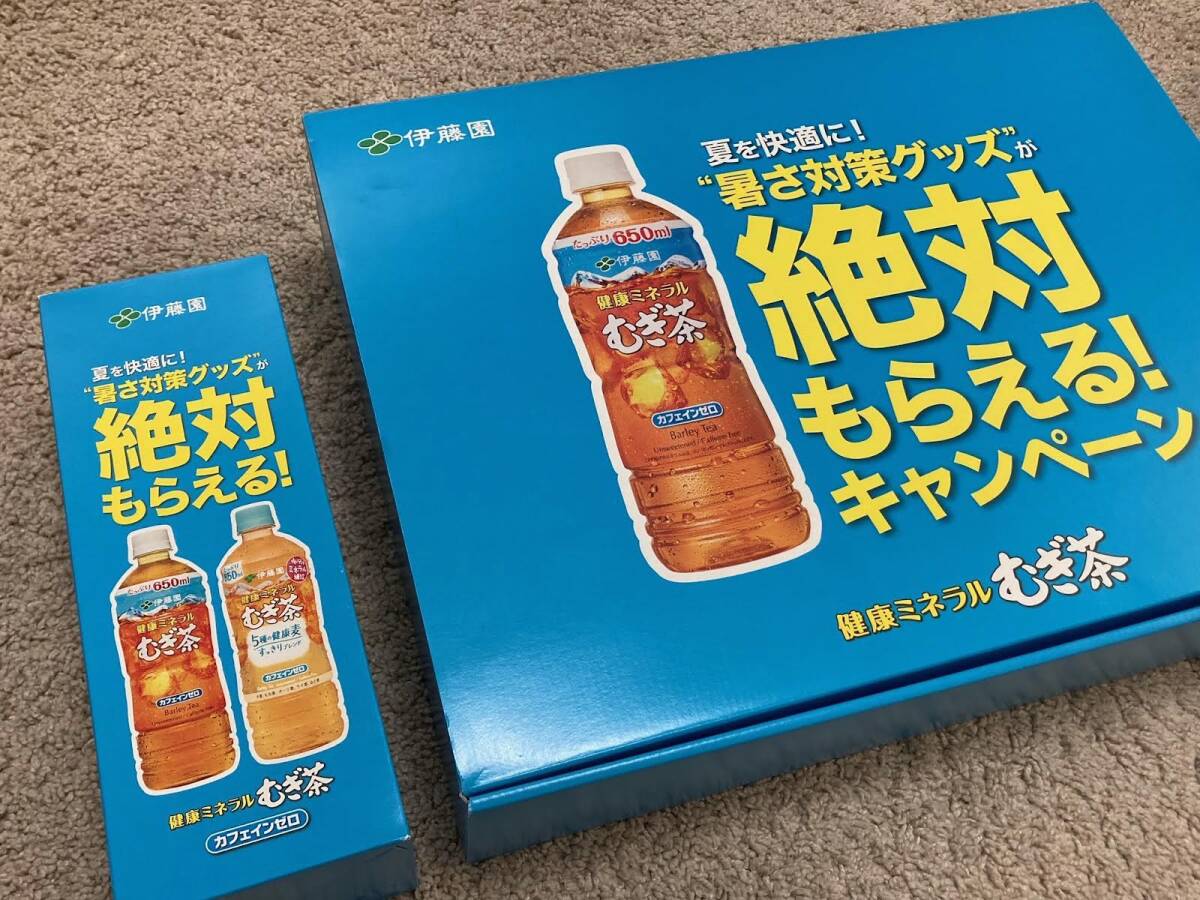 未使用品 伊藤園 健康ミネラル むぎ茶 絶対もらえる!キャンペーン 保冷リュック ＆ ステンレスボトル 水筒 セットの画像1