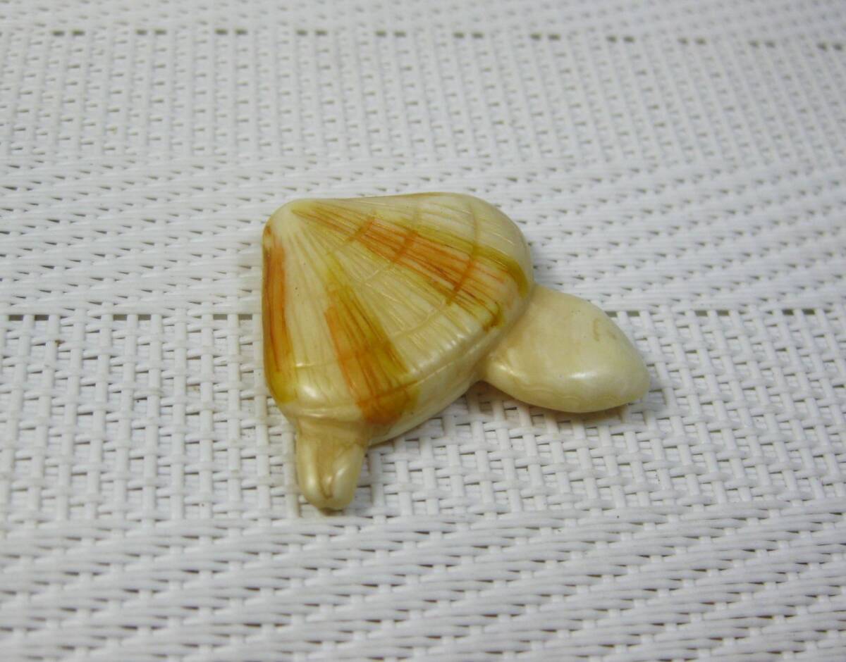  seafood *. tooth * clam [ clam ] netsuke * strap *.. thing natural material 
