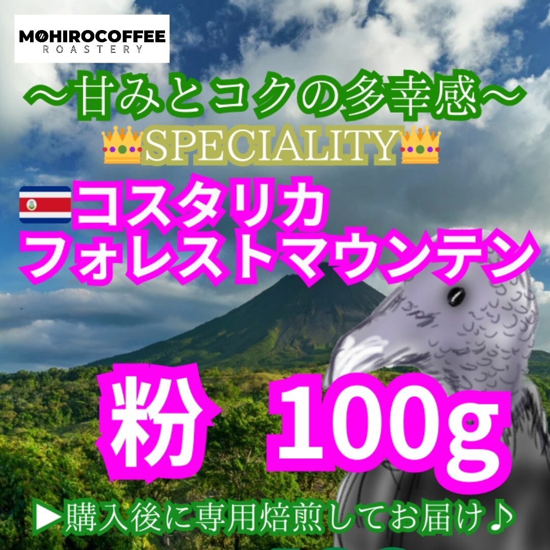【粉】 コスタリカ フォレストマウンテン 生豆時 100g コーヒー 珈琲 自家焙煎 コーヒー豆 スペシャルティコーヒー
