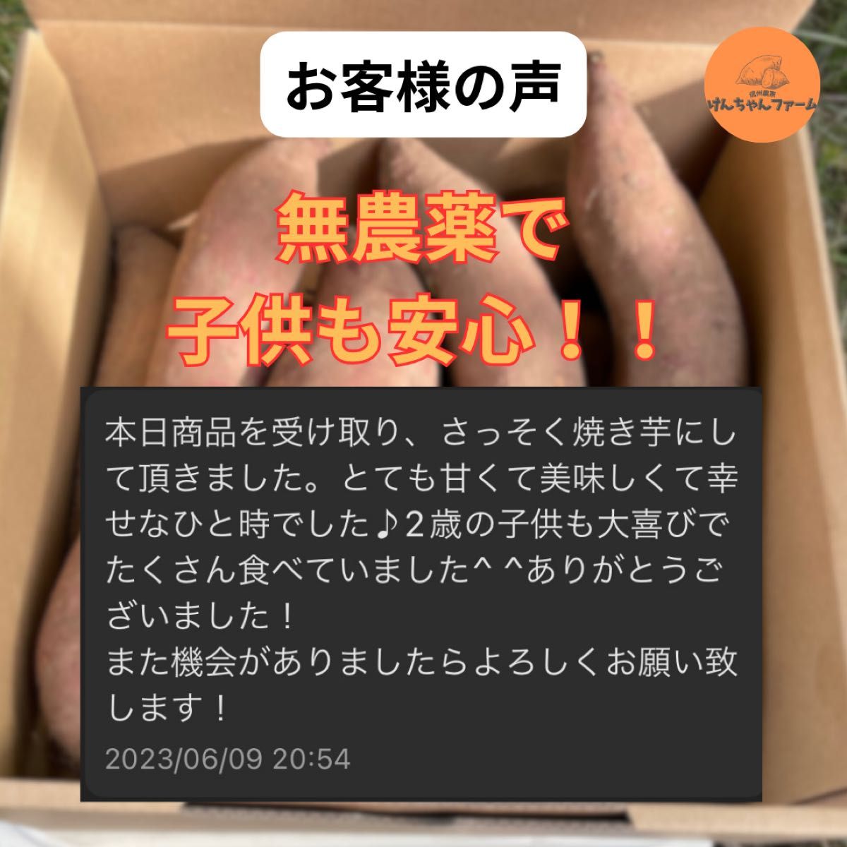 【信州産】超熟成シルクスイート10kg